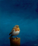 boze roodborst  12 x 15 cm op eiken paneel 9verkocht)